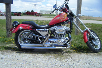 Sportster Struts